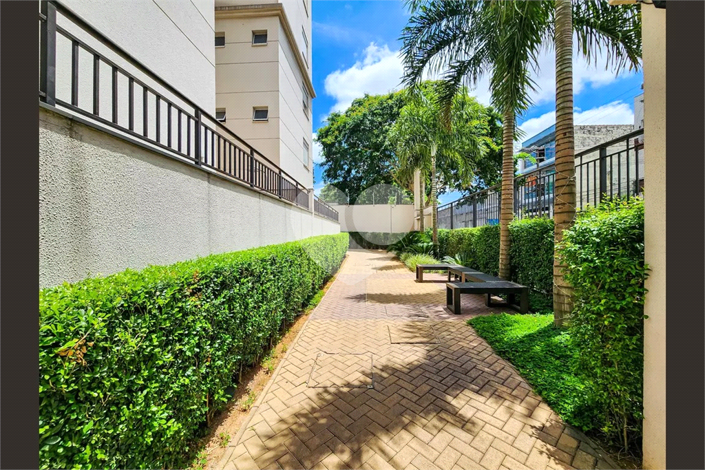Apartamento 64 Metros 2 Dormitórios 1 Suíte  Varanda Gourmet 