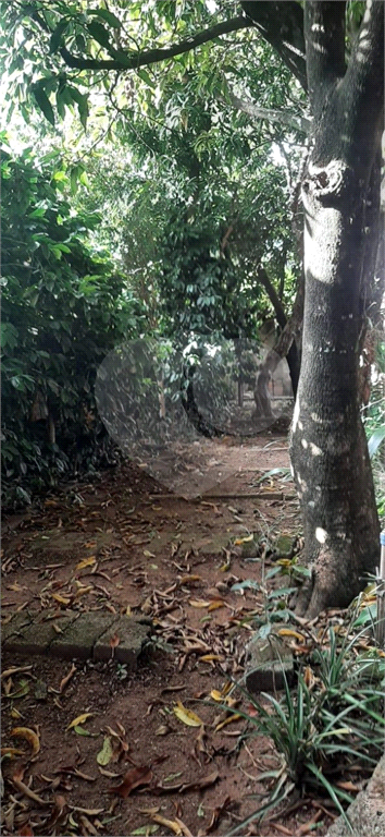 Chácara, 5 quartos, 1000 m² - Foto 18