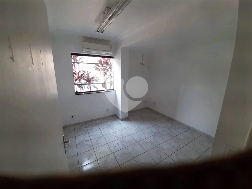 Foto 61