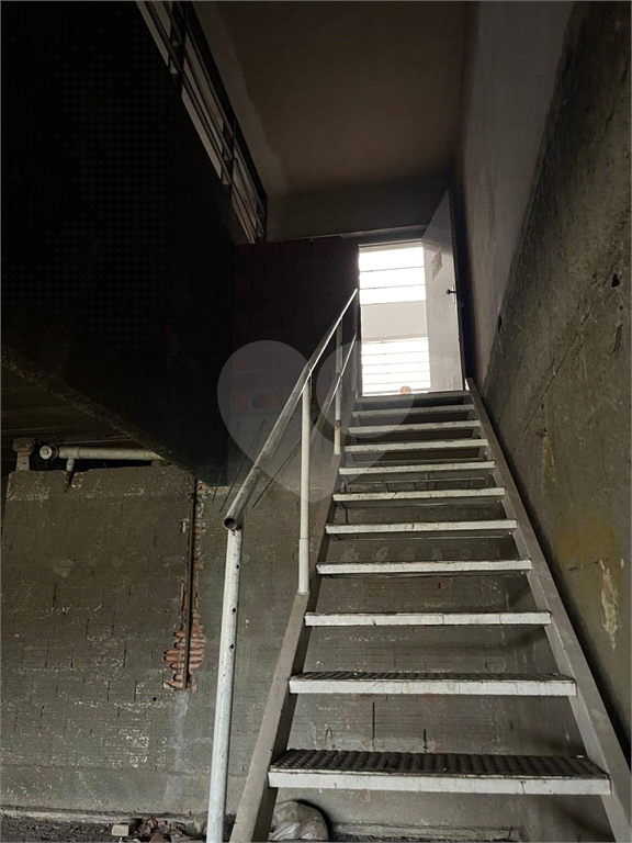 Casa, 3 quartos, 731 m² - Foto 41