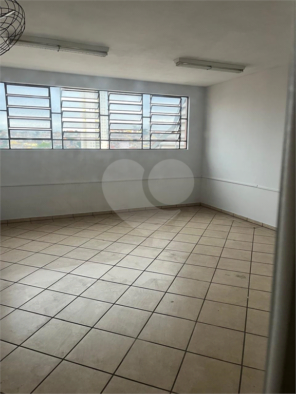 Casa, 3 quartos, 731 m² - Foto 24