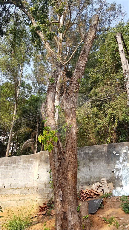 terreno subida da Serra, valor abaixo do mercado Valor convidativo. 
