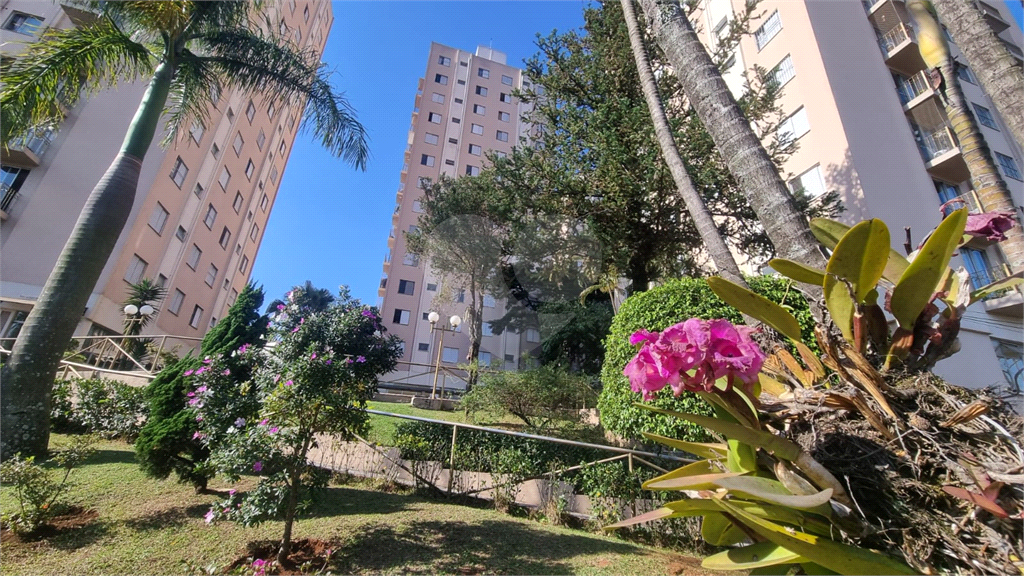 APARTAMENTO em PENHA