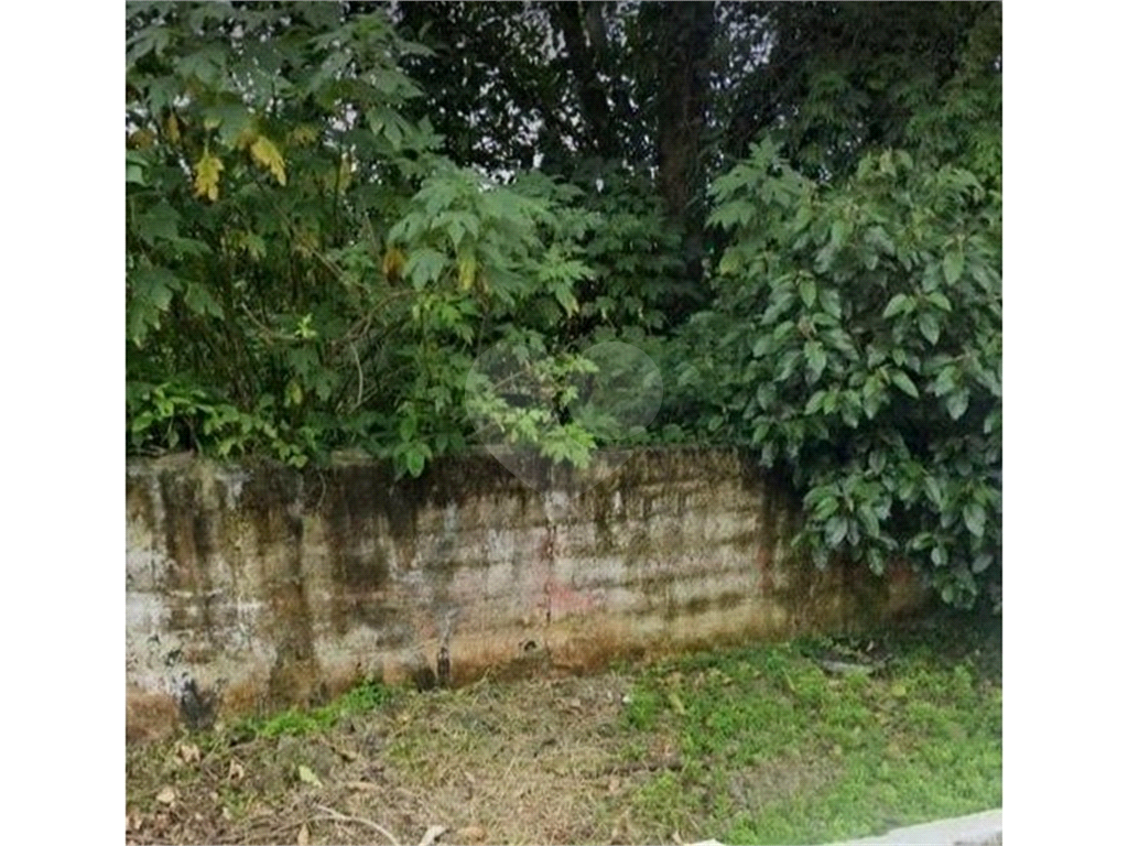 TERRENO em TUCURUVI