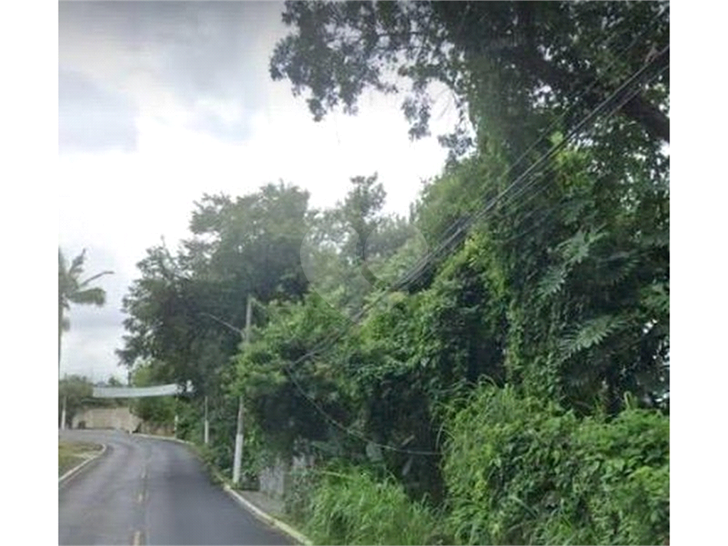 TERRENO em TUCURUVI