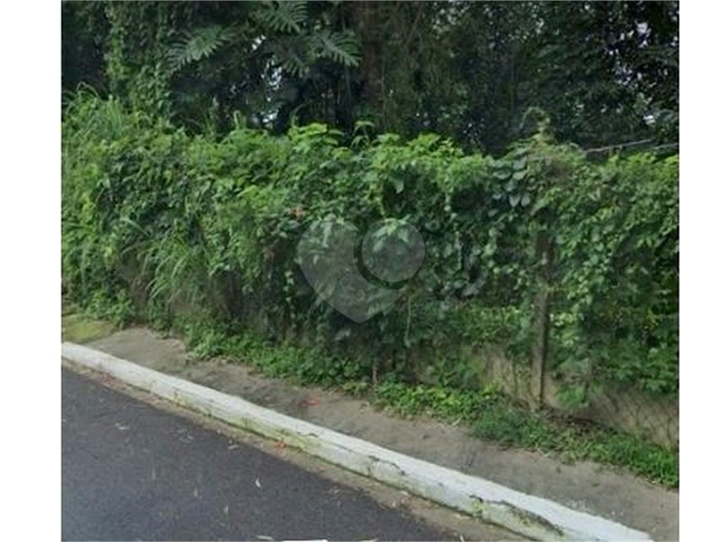 TERRENO em TUCURUVI