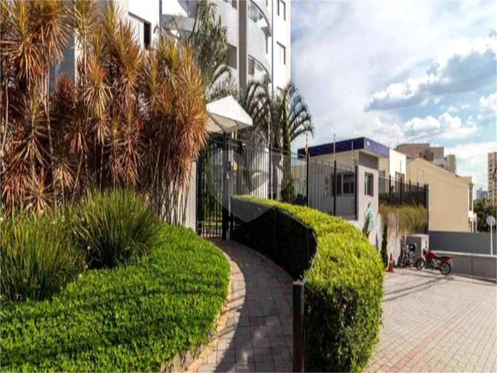 Apartamento à Venda no Tucuruvi – 3 Dormitórios, Suíte e 2 Vagas