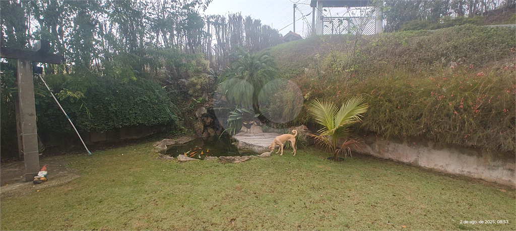 Chácara, 3 quartos, 1264 m² - Foto 7