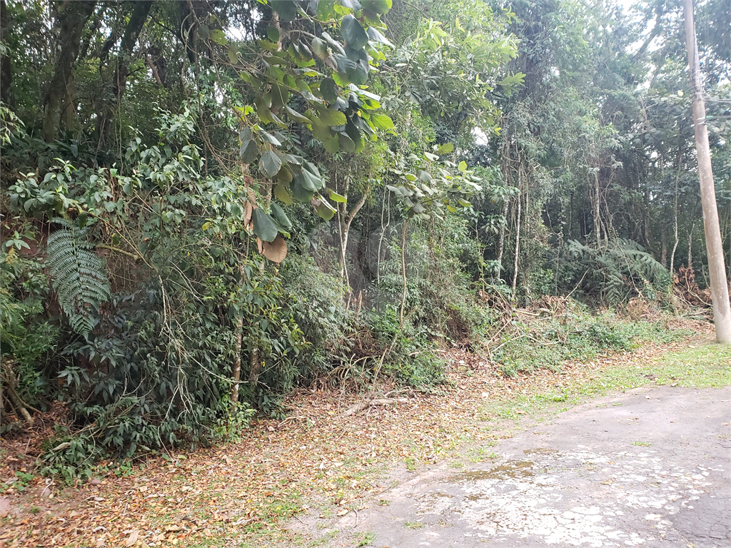 Casa de Condomínio - Foto 7