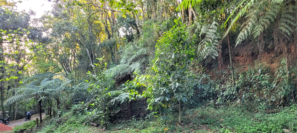 Casa de Condomínio - Foto 1