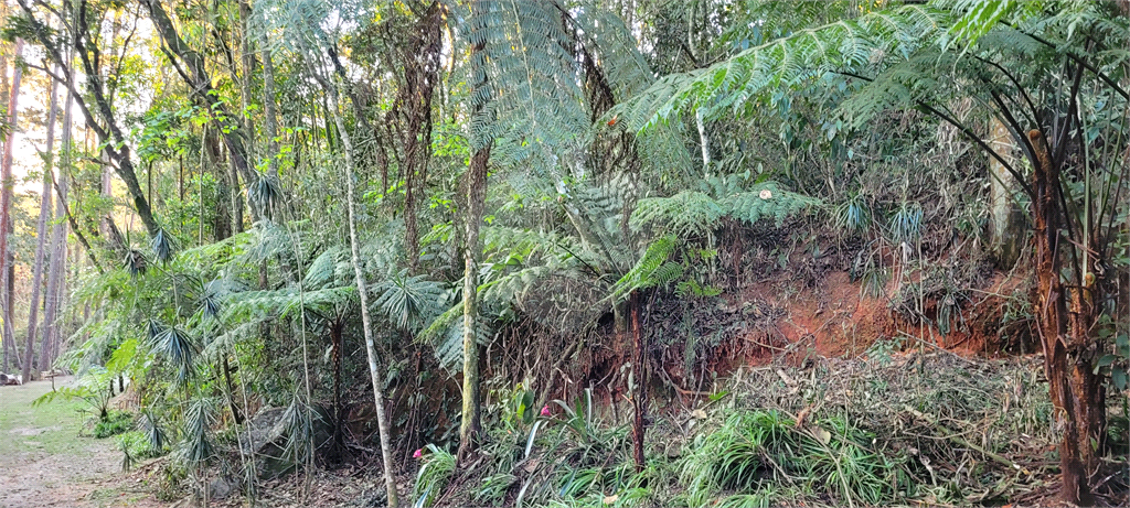 Casa de Condomínio - Foto 4