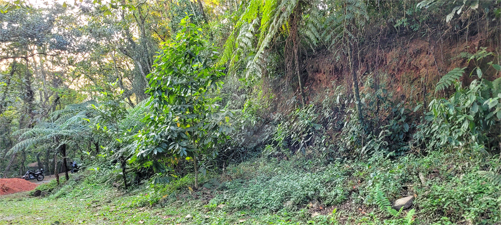 Casa de Condomínio - Foto 3