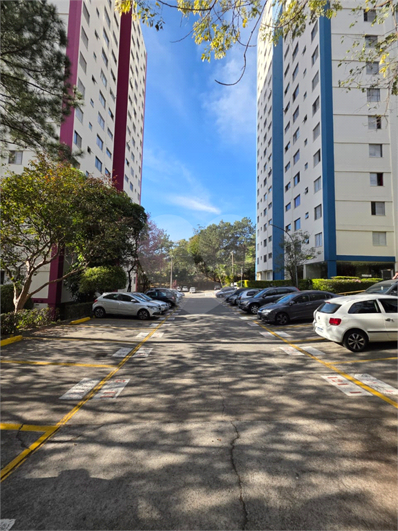 APARTAMENTO em HORTO
