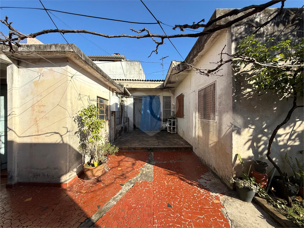Terreno à Venda – 9×30?m (270?m²) – Parada Inglesa, Zona Norte de SP