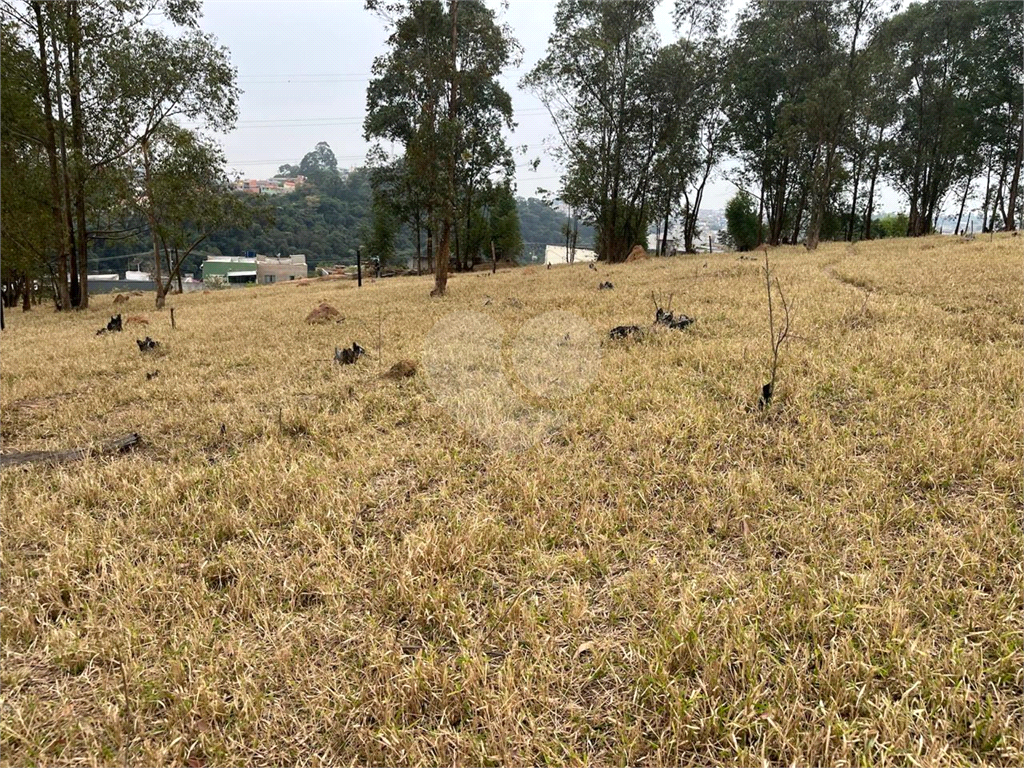Terreno à venda com 1 quarto, 69004m² - Foto 9