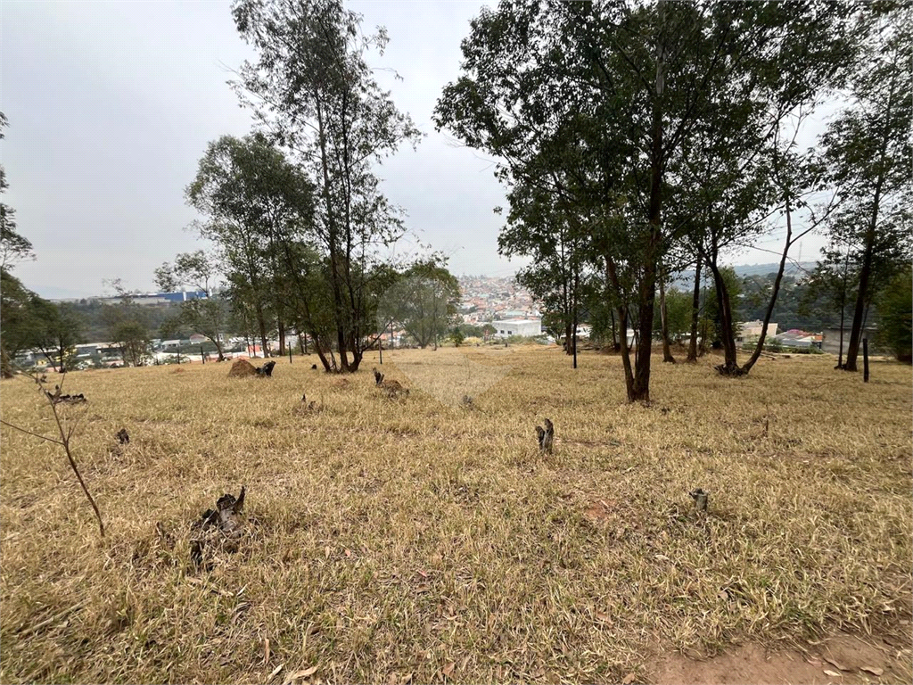 Terreno à venda com 1 quarto, 69004m² - Foto 7