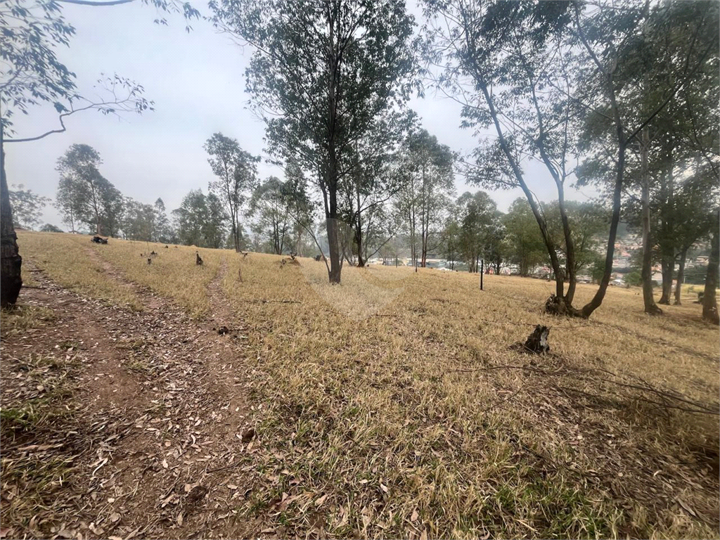 Terreno à venda com 1 quarto, 69004m² - Foto 14