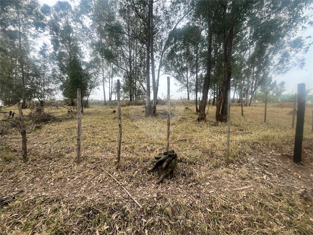 Terreno à venda com 1 quarto, 69004m² - Foto 12