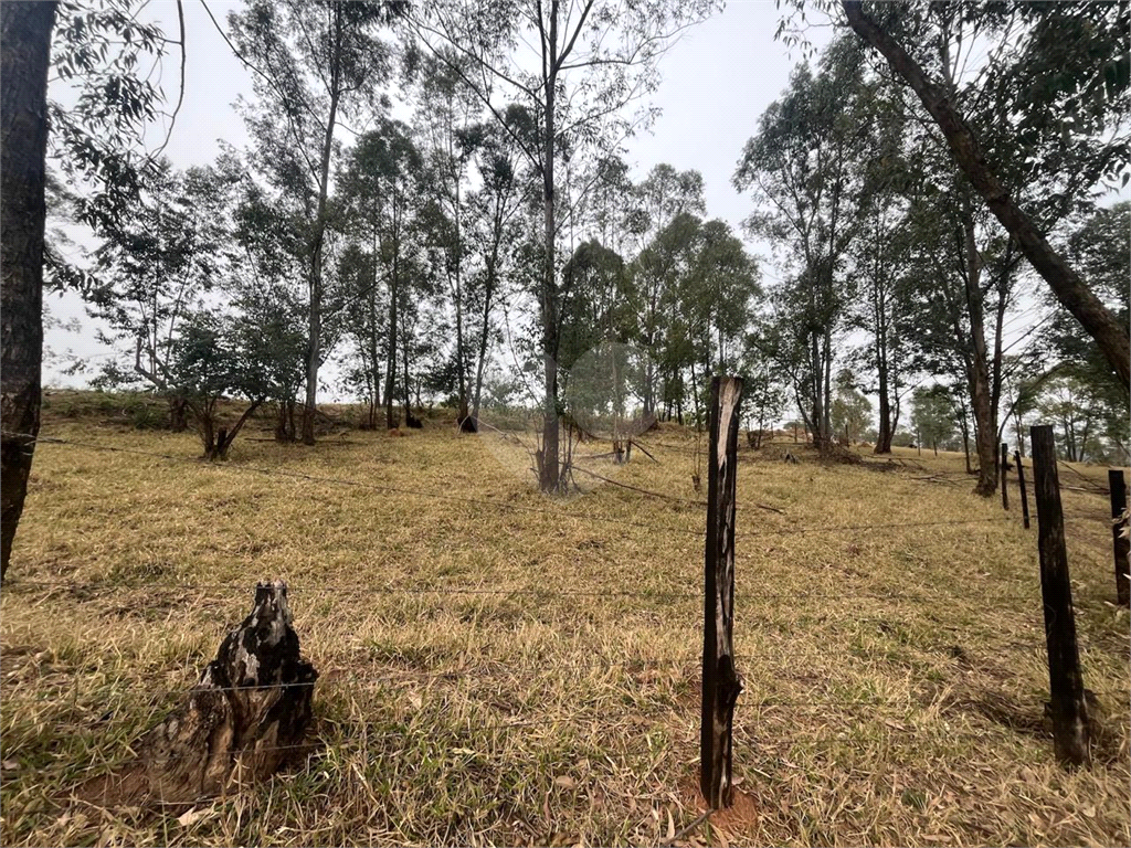 Terreno à venda com 1 quarto, 69004m² - Foto 4