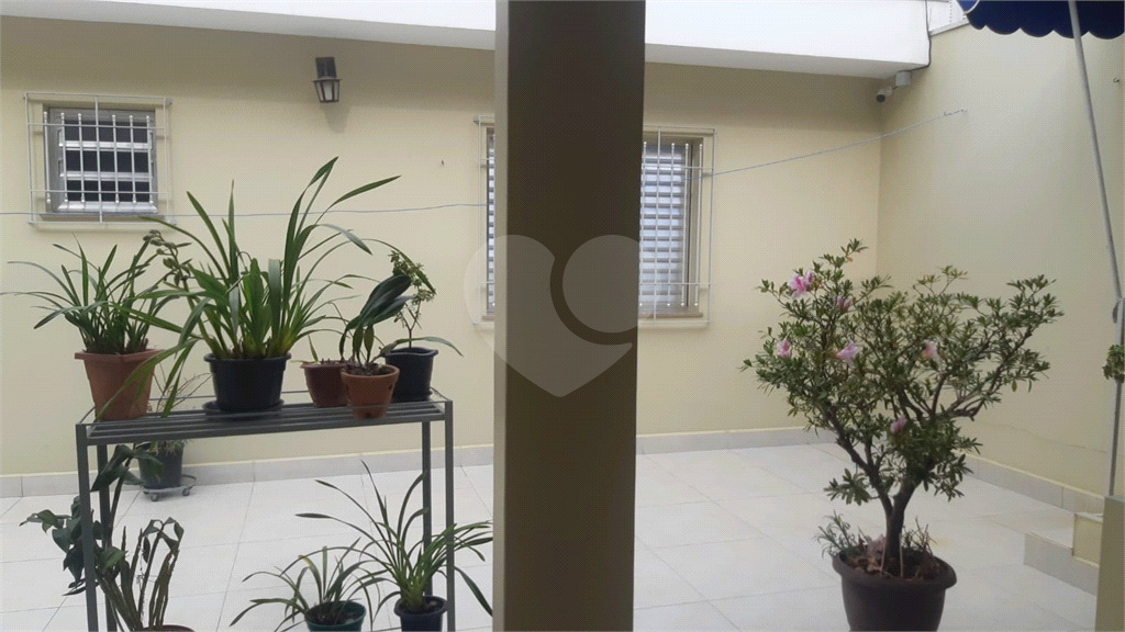 CASA em TUCURUVI