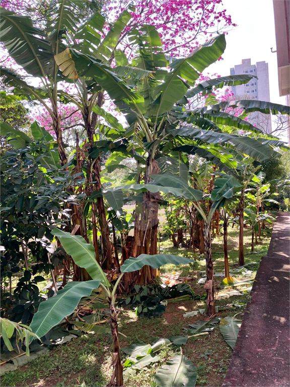 VENDA APARTAMENTO 2 DORMS - TREMEMBÉ