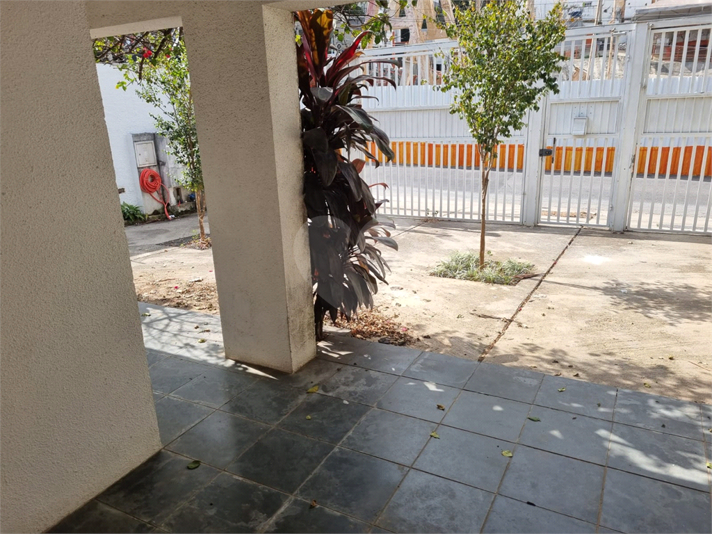 Foto 19