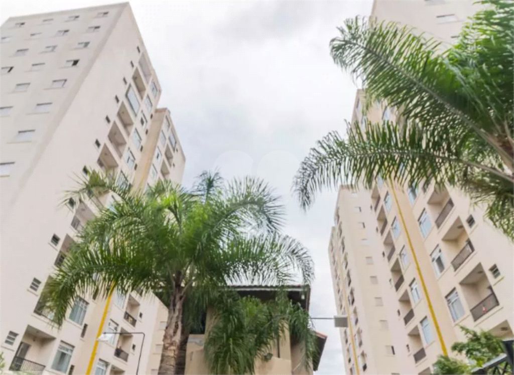 APARTAMENTO em VILA IMACULADA