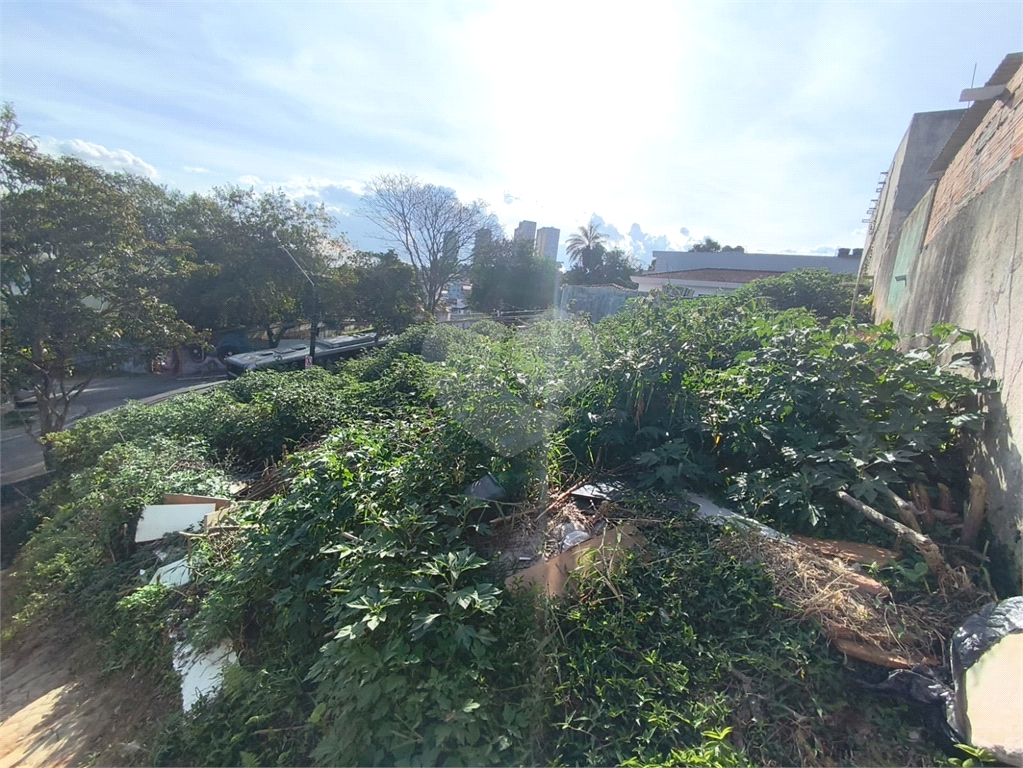 Terreno Horto com planta aprovada para prédio residencial