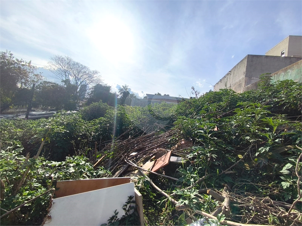 Terreno Horto com planta aprovada para prédio residencial