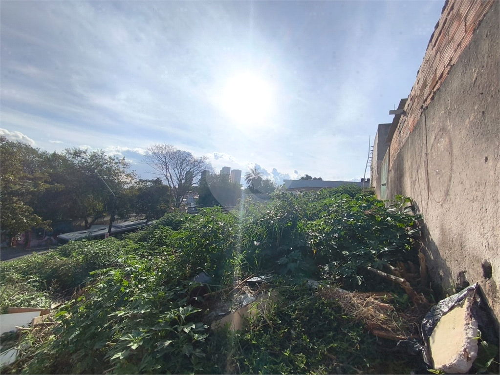 Terreno Horto com planta aprovada para prédio residencial
