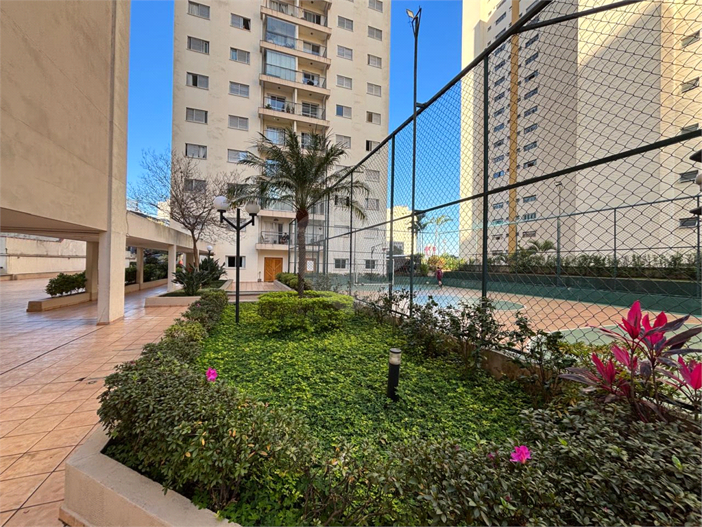 Apartamento andar alto, excelente localização, região da Santa Terezinha em Santana
