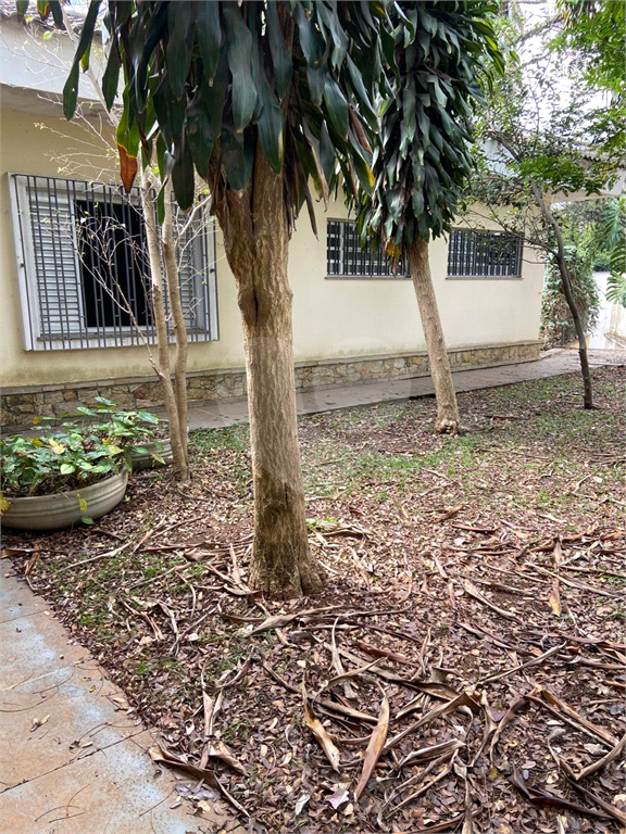 CASA TÉRREA NO ALTO DE PINHEIROS COM TERRENO DE 650 M²