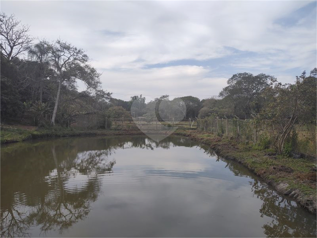 Sítio, 3 quartos, 8600 m² - Foto 3