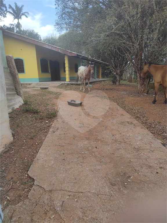 Sítio, 3 quartos, 8600 m² - Foto 33