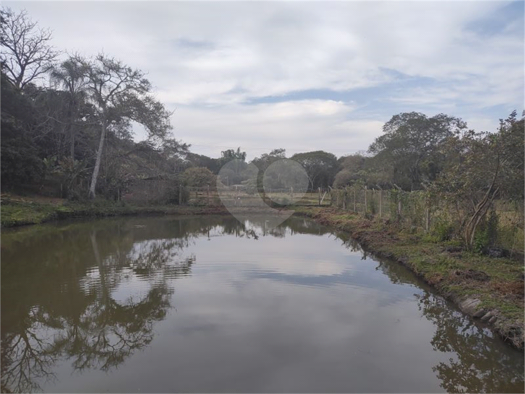 Sítio, 3 quartos, 8600 m² - Foto 1