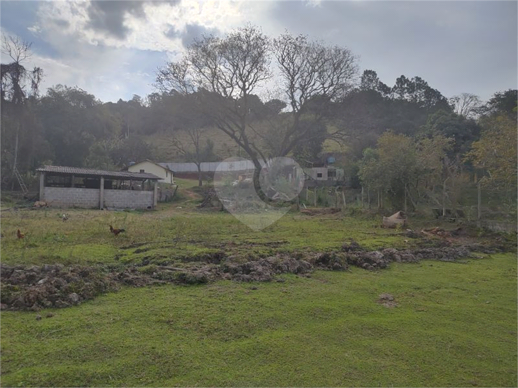 Sítio, 3 quartos, 8600 m² - Foto 12