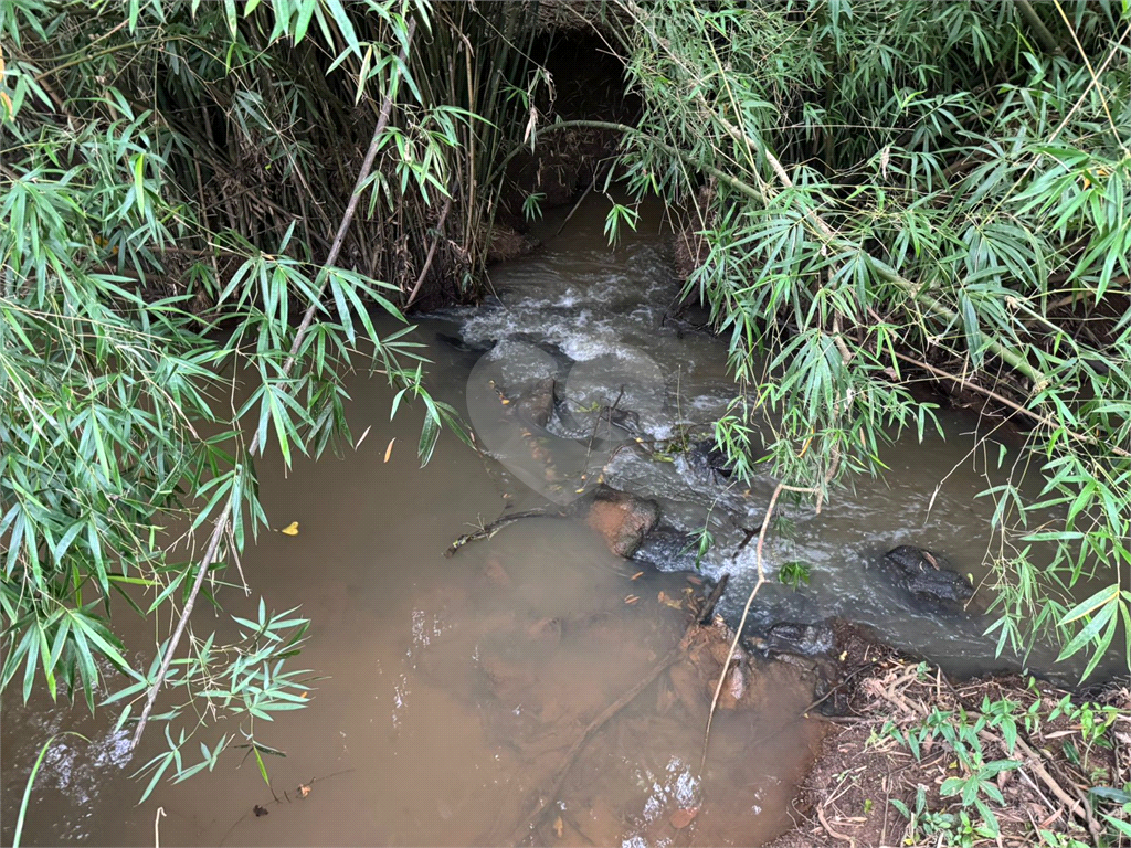 Sítio, 3 quartos, 8600 m² - Foto 4