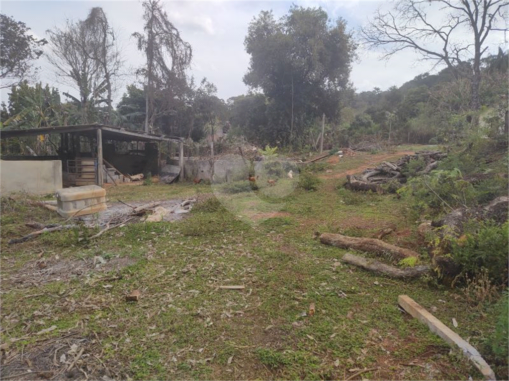 Sítio, 3 quartos, 8600 m² - Foto 20