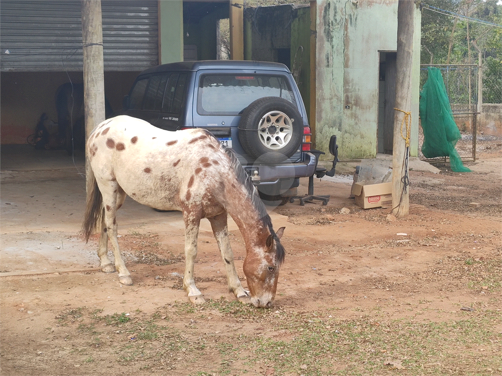 Sítio, 3 quartos, 8600 m² - Foto 16