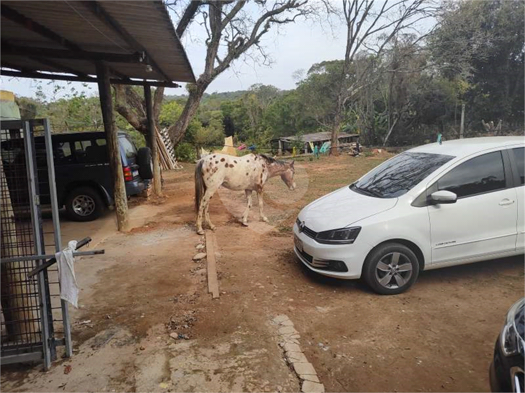 Sítio, 3 quartos, 8600 m² - Foto 17