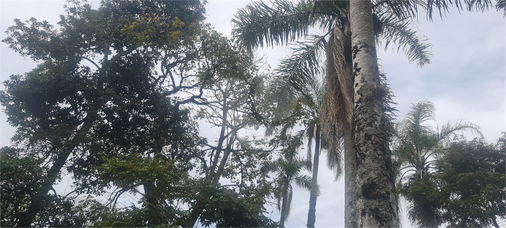 Casa, 5 quartos, 733 m² - Foto 59