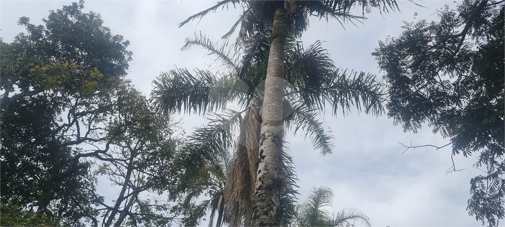 Casa, 5 quartos, 733 m² - Foto 12