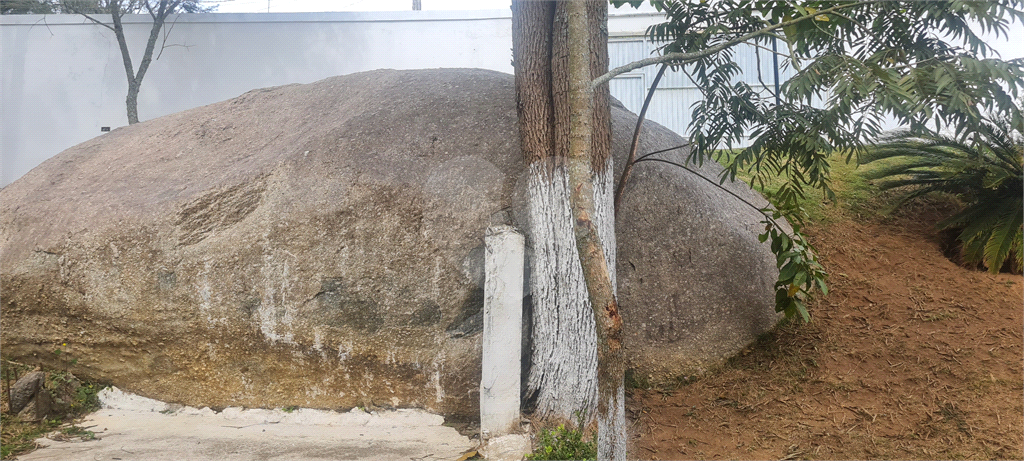 Casa, 5 quartos, 733 m² - Foto 56