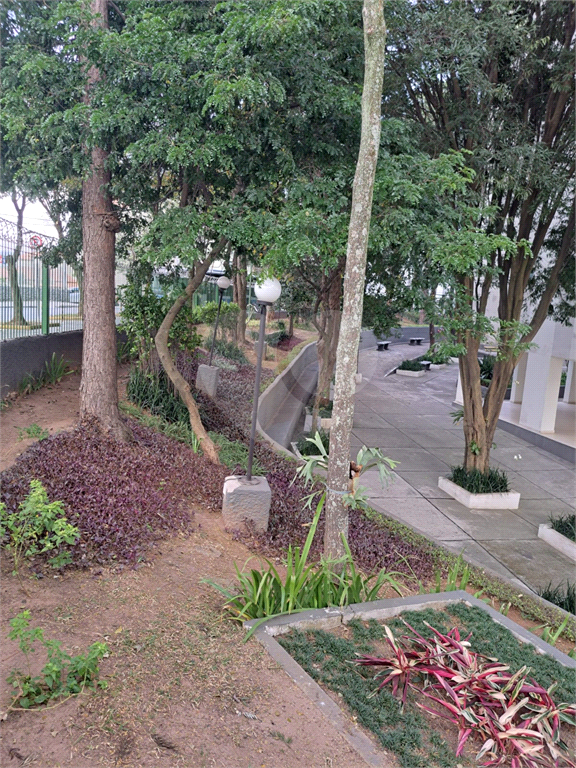 APARTAMENTO em MANDAQUI