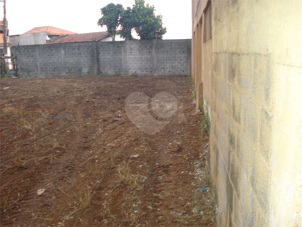 TERRENO em SÃO MIGUEL PAULISTA