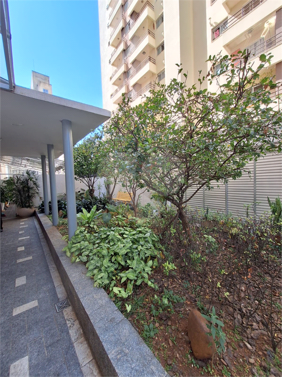 Apartamento para locação na Santa Cecília