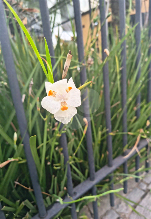 Apartamento, 3 quartos, 98 m² - Foto 3