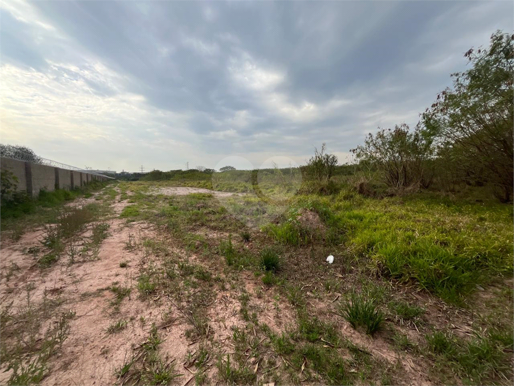 Terreno, 3 hectares - Foto 5