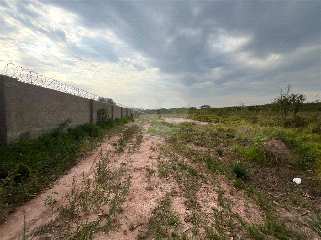 Terreno, 3 hectares - Foto 4