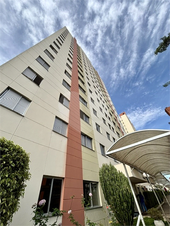 Apartamento à venda com 3 dormitórios no Mandaqui 